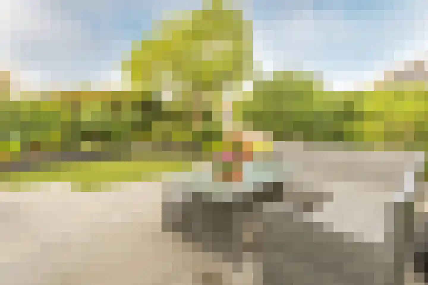 Veldbeemd 12 De Goorn thumbnail 32
