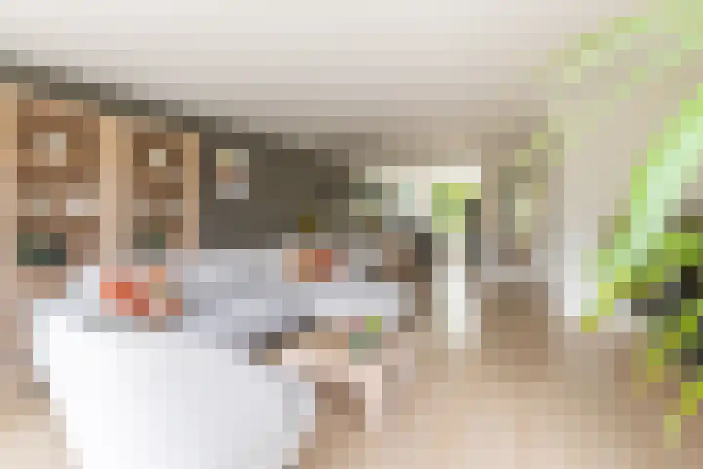 Veldbeemd 12 De Goorn thumbnail 7