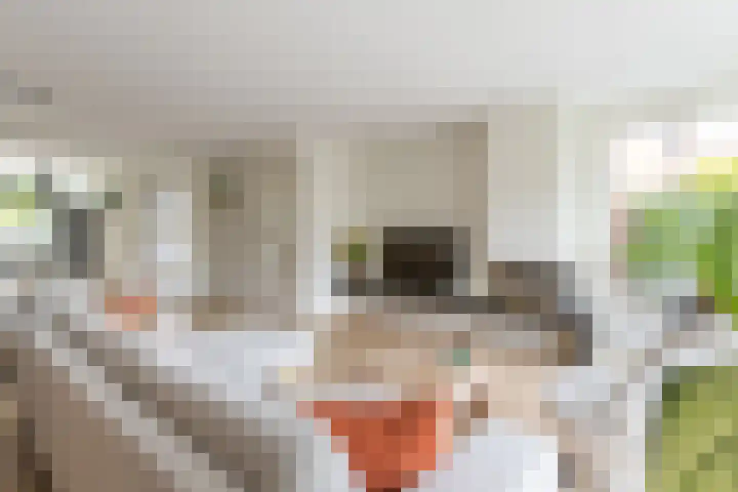 Veldbeemd 12 De Goorn thumbnail 8