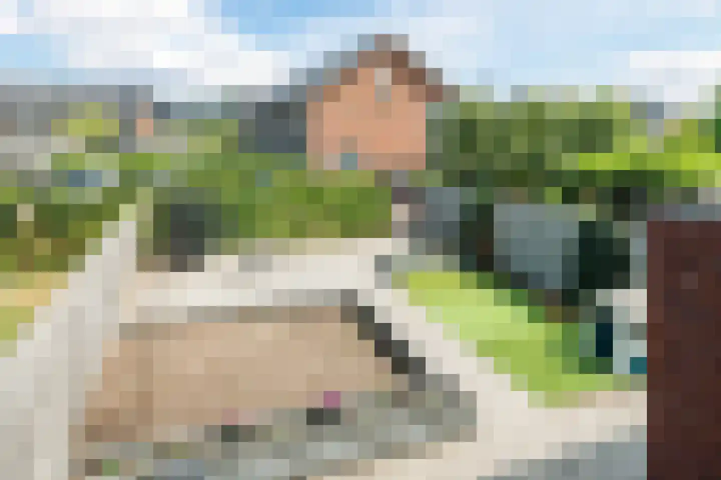 Veldbeemd 14 Meppel thumbnail 33