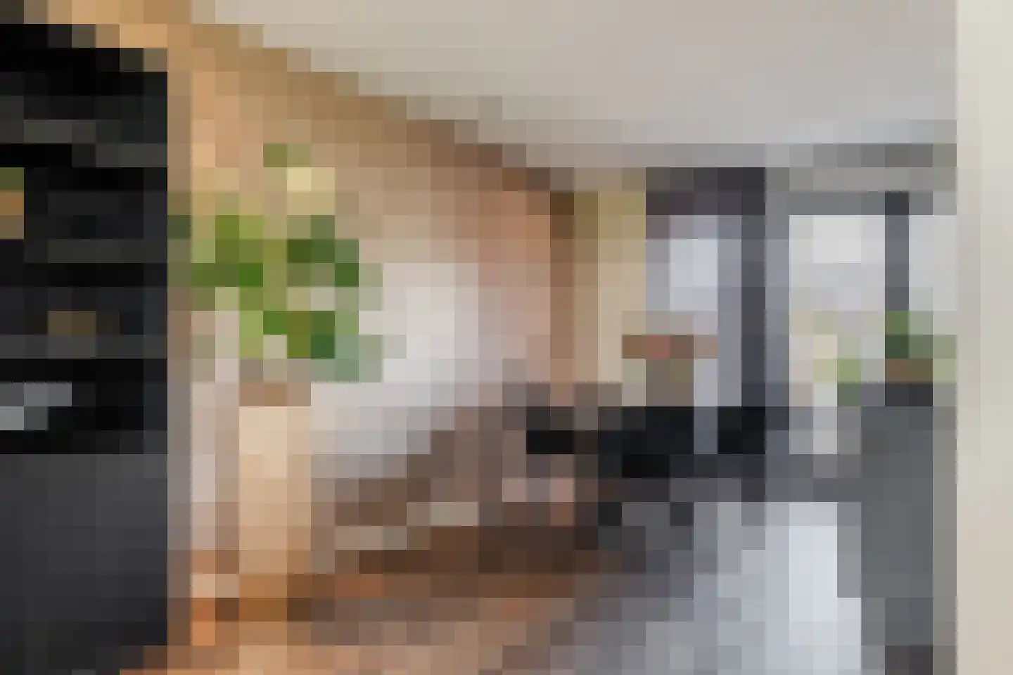 Veldbeemd 14 Meppel thumbnail 6