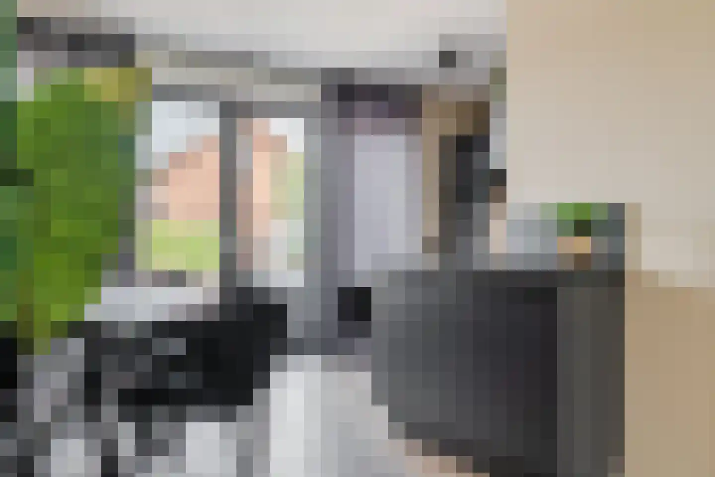 Veldbeemd 14 Meppel thumbnail 7