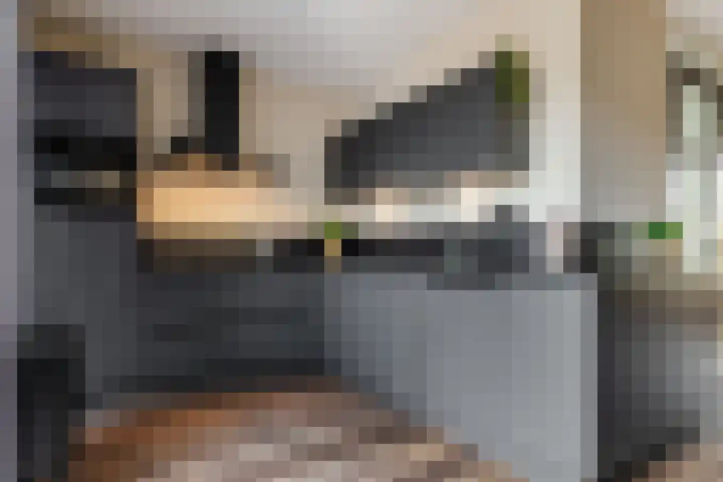 Veldbeemd 14 Meppel thumbnail 8