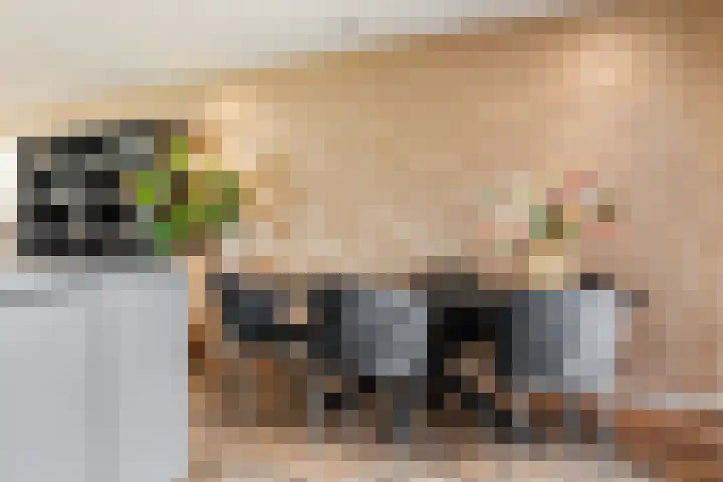 Veldbeemd 14 Meppel thumbnail 9