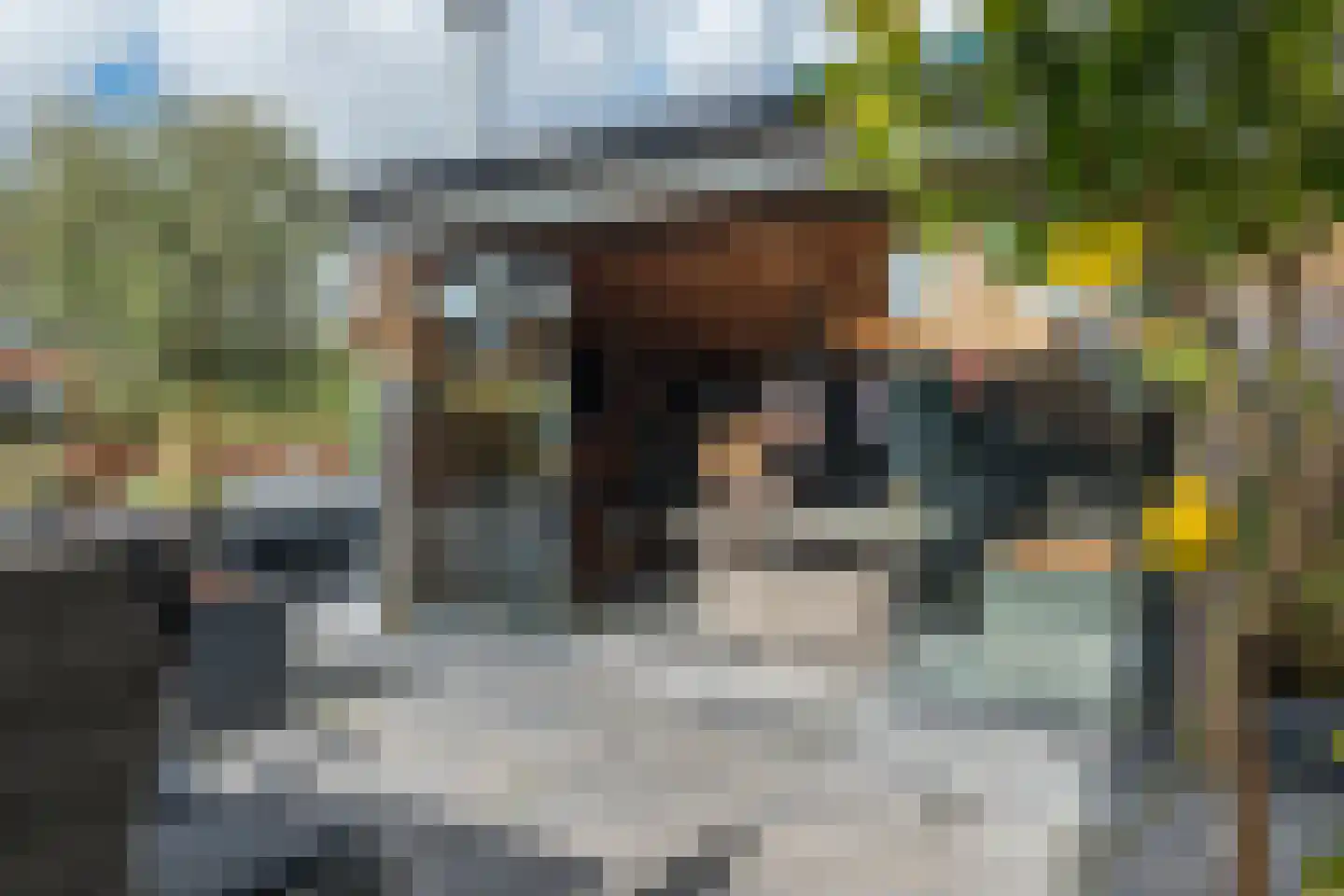 Veldbeemd 22 De Goorn thumbnail 57