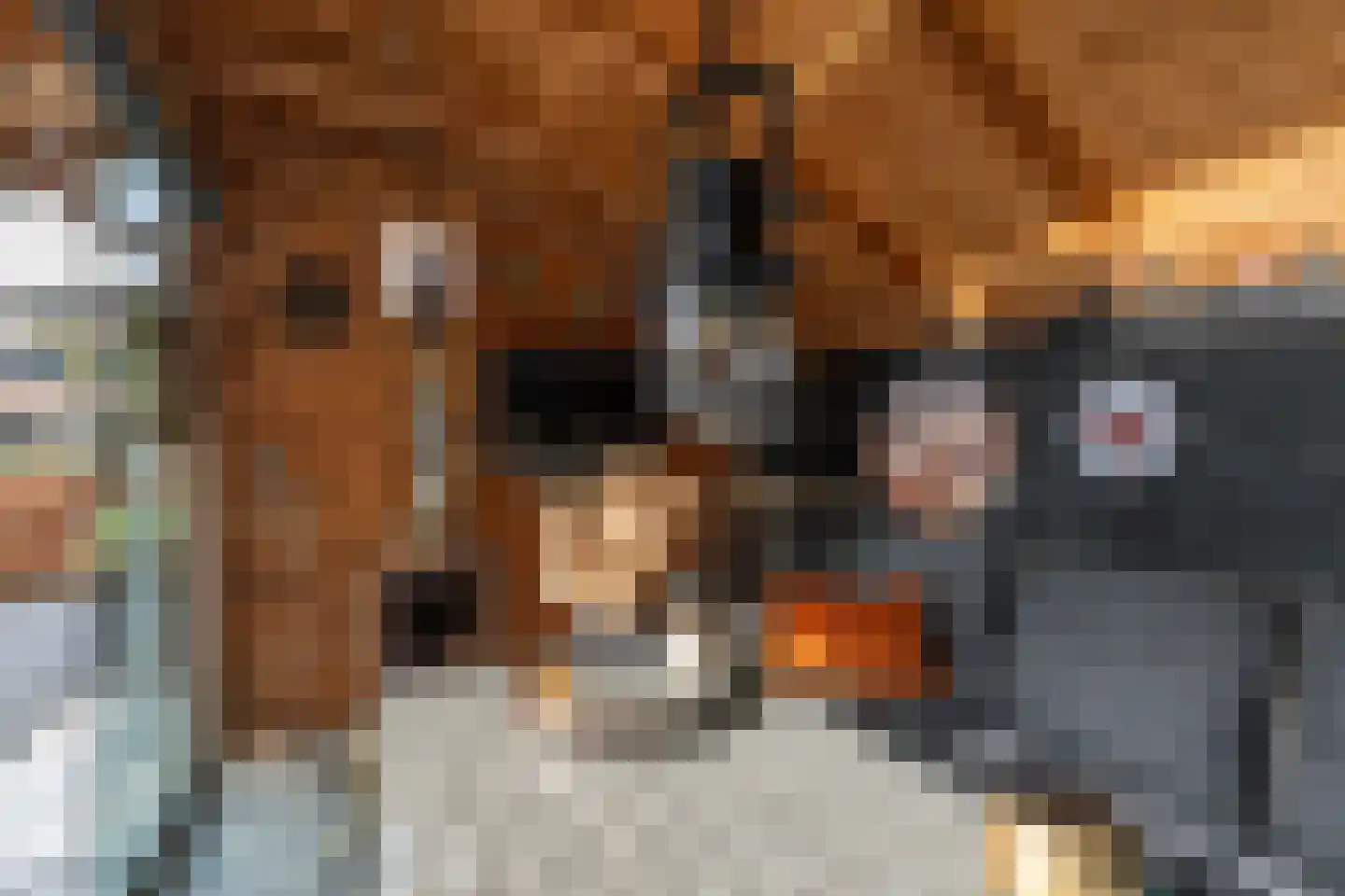 Veldbeemd 22 De Goorn thumbnail 58