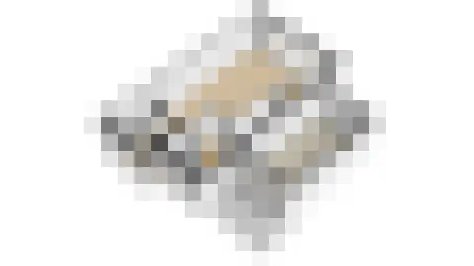 Veldbeemd 22 De Goorn thumbnail 78