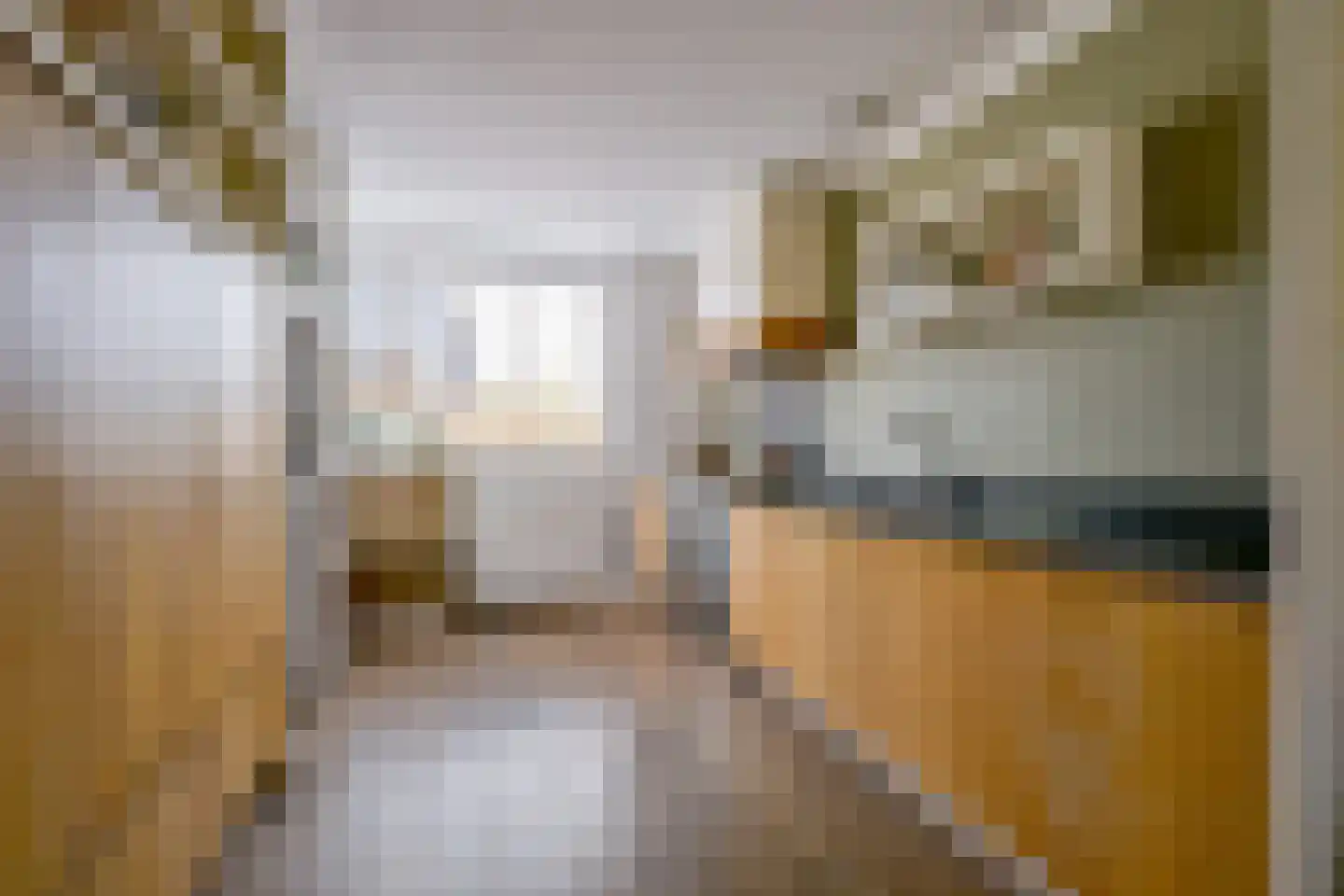 Veldbeemd 26 De Goorn thumbnail 16
