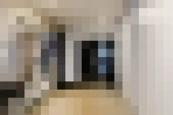 Veldbeemd 29 Wognum thumbnail 14