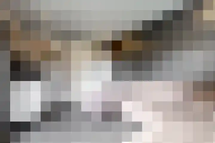 Veldbeemd 29 Wognum thumbnail 17