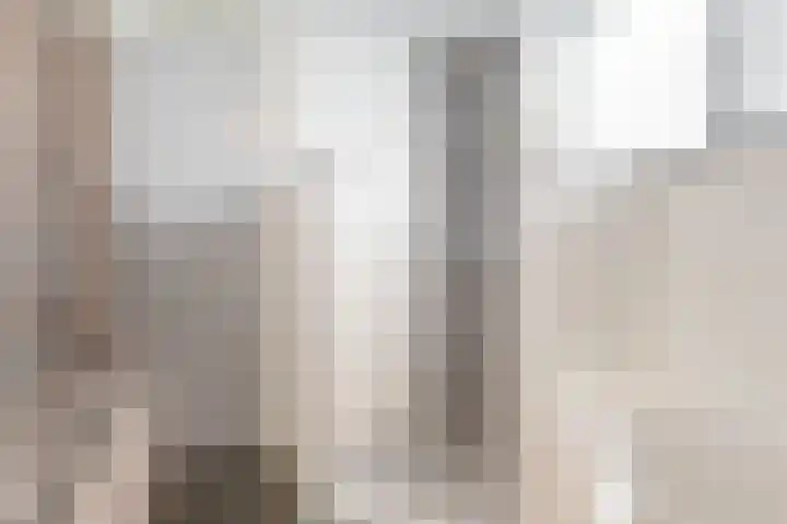 Veldbeemd 29 Wognum thumbnail 26
