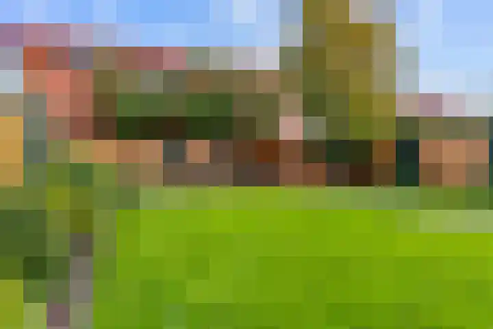 Veldbeemd 29 Wognum thumbnail 34
