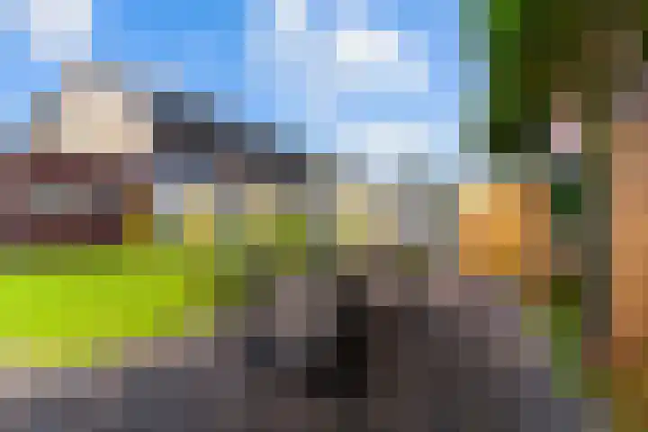 Veldbeemd 29 Wognum thumbnail 40