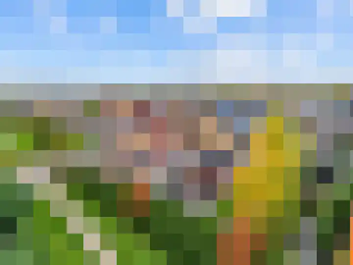 Veldbeemd 29 Wognum thumbnail 43