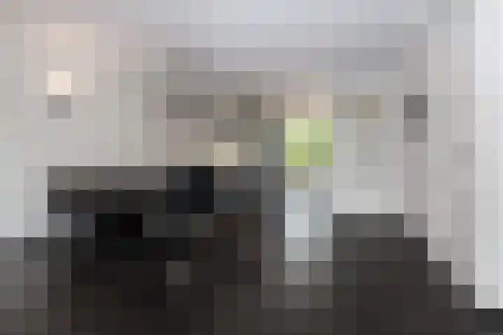 Veldbeemd 4 De Goorn thumbnail 17