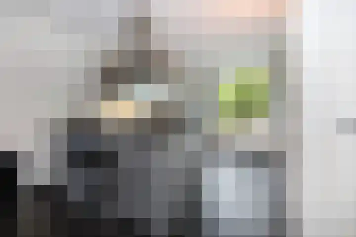 Veldbeemd 4 De Goorn thumbnail 20
