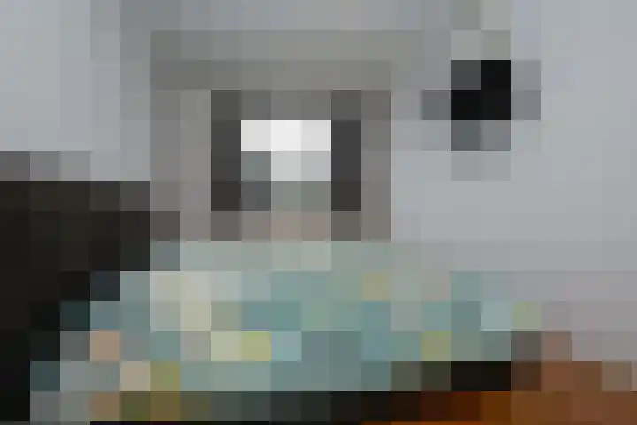 Veldbeemd 4 De Goorn thumbnail 27