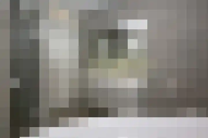 Veldbeemd 4 De Goorn thumbnail 29
