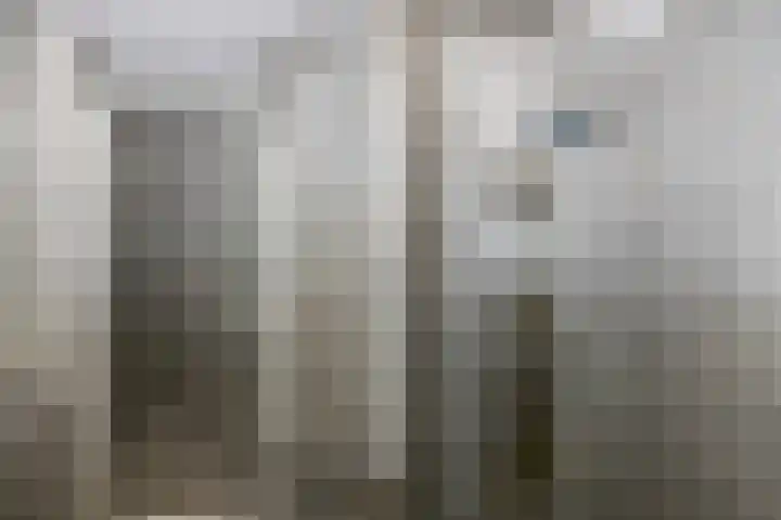 Veldbeemd 4 De Goorn thumbnail 31