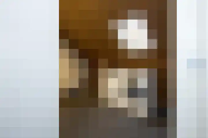 Veldbeemd 4 De Goorn thumbnail 42