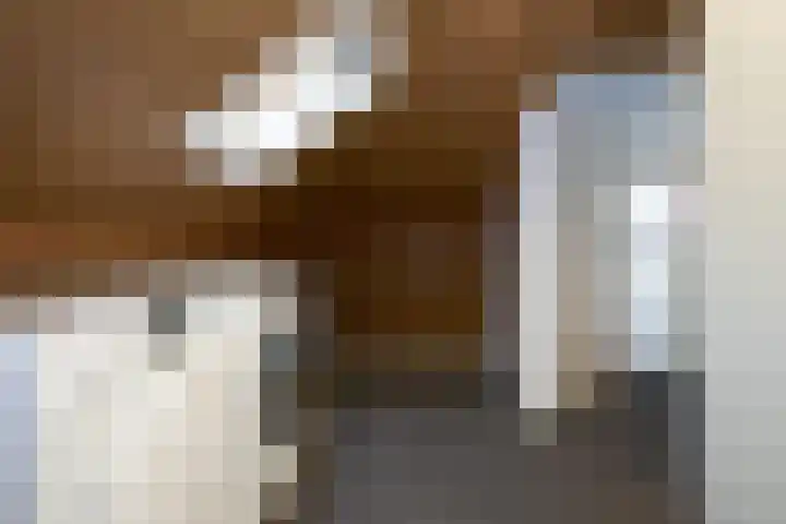 Veldbeemd 4 De Goorn thumbnail 43