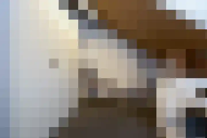 Veldbeemd 4 De Goorn thumbnail 44