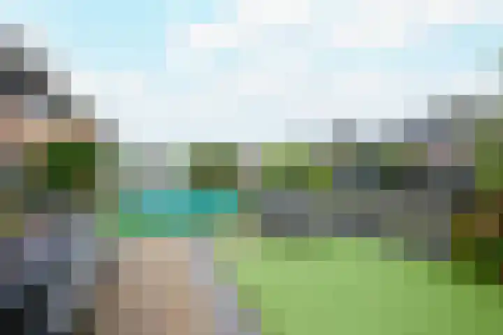Veldbeemd 4 De Goorn thumbnail 49