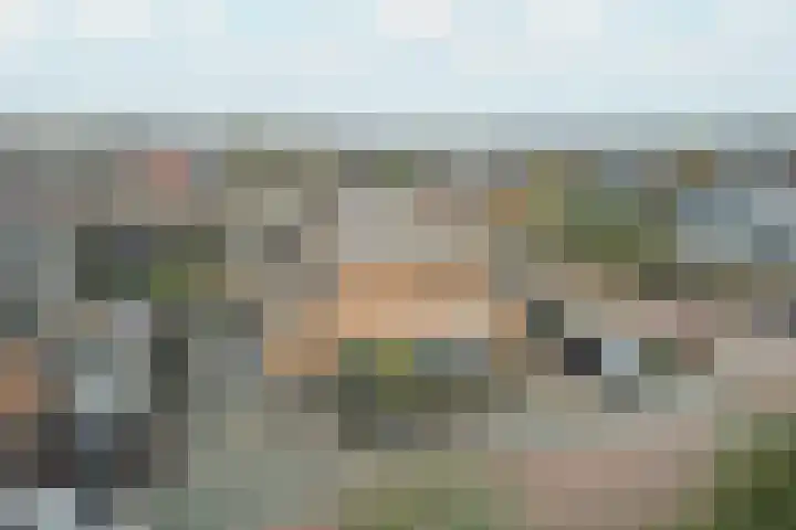 Veldbeemd 4 De Goorn thumbnail 5
