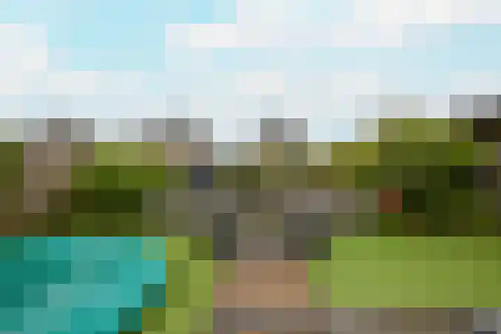Veldbeemd 4 De Goorn thumbnail 51