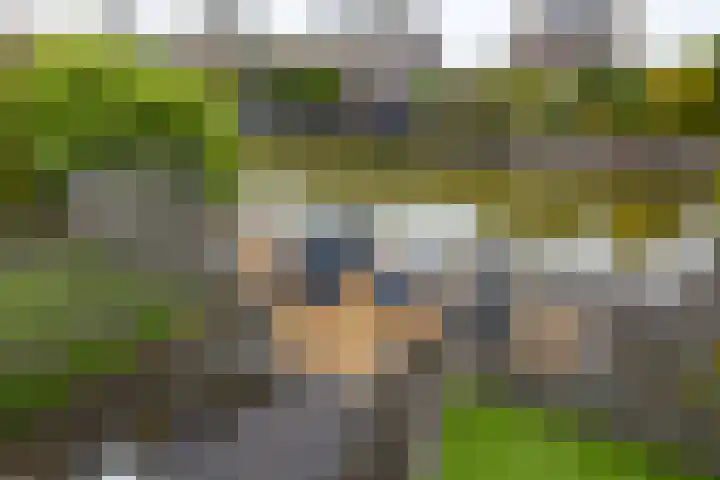 Veldbeemd 4 De Goorn thumbnail 53