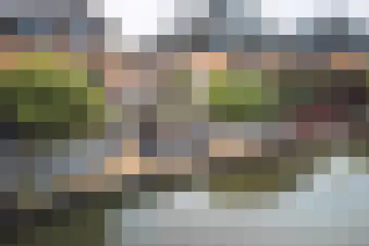 Veldbeemd 4 De Goorn thumbnail 54