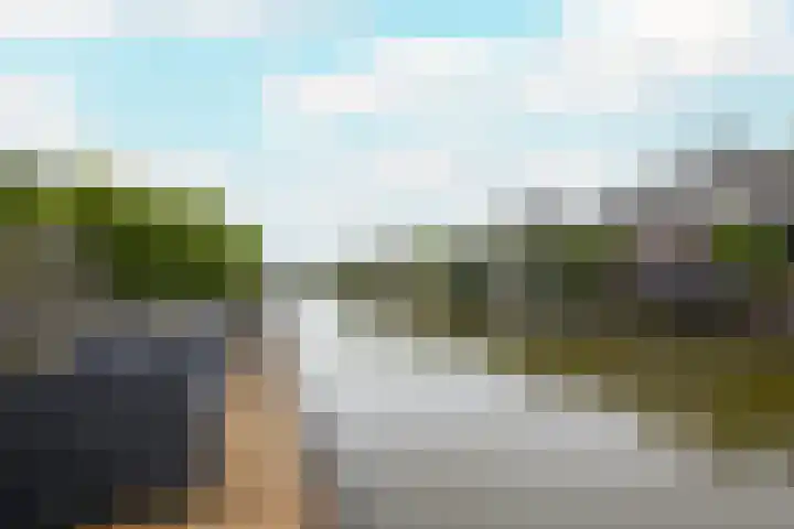 Veldbeemd 4 De Goorn thumbnail 55