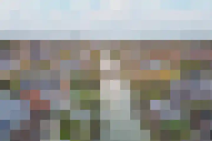 Veldbeemd 4 De Goorn thumbnail 57