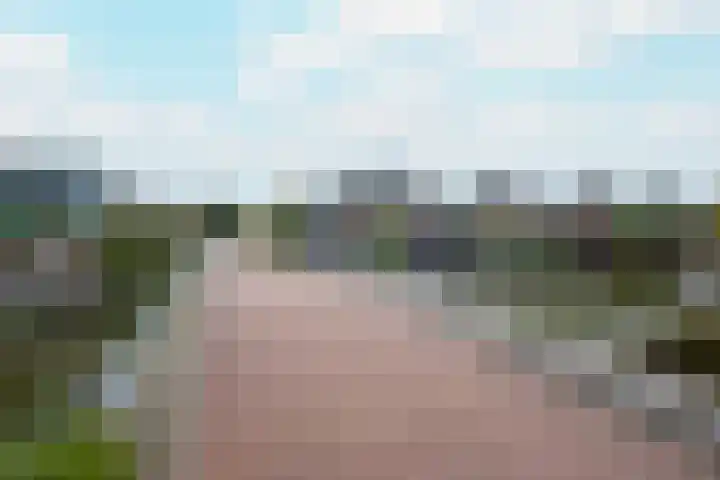 Veldbeemd 4 De Goorn thumbnail 58
