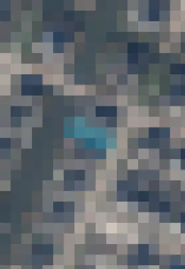 Veldbeemd 4 De Goorn thumbnail 64