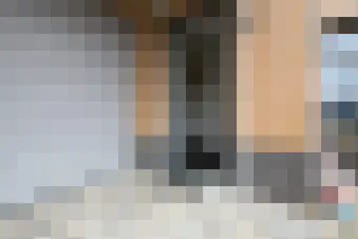 Veldbeemd 4 De Goorn thumbnail 9