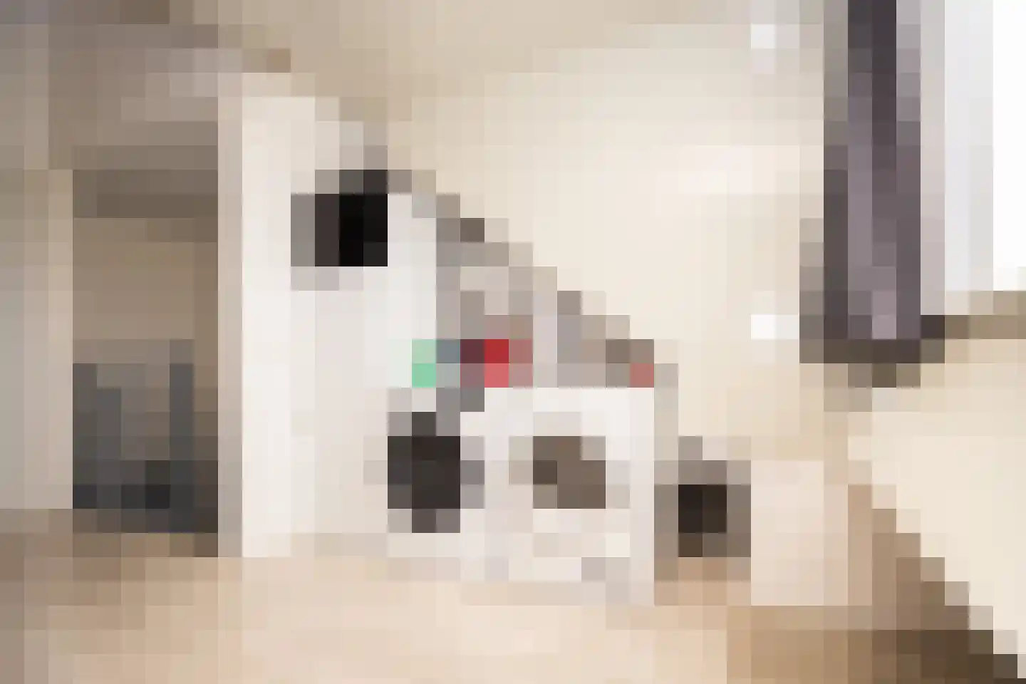 Veldbeemd 45 Wognum thumbnail 36