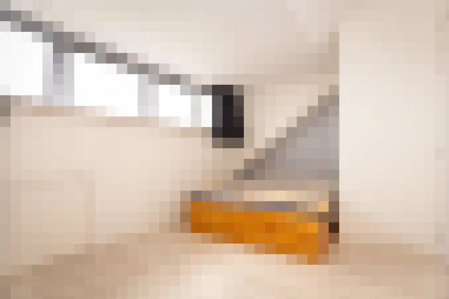 Veldbeemd 45 Wognum thumbnail 37