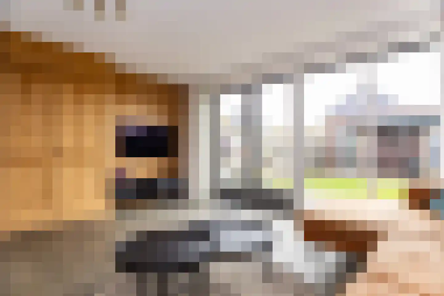 Veldbeemd 45 Wognum thumbnail 4