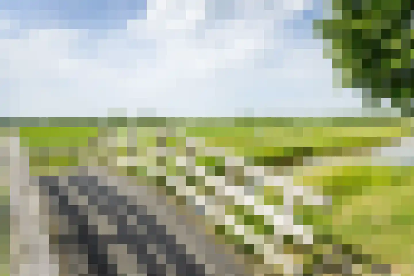 Veldbeemd 45 Wognum thumbnail 50