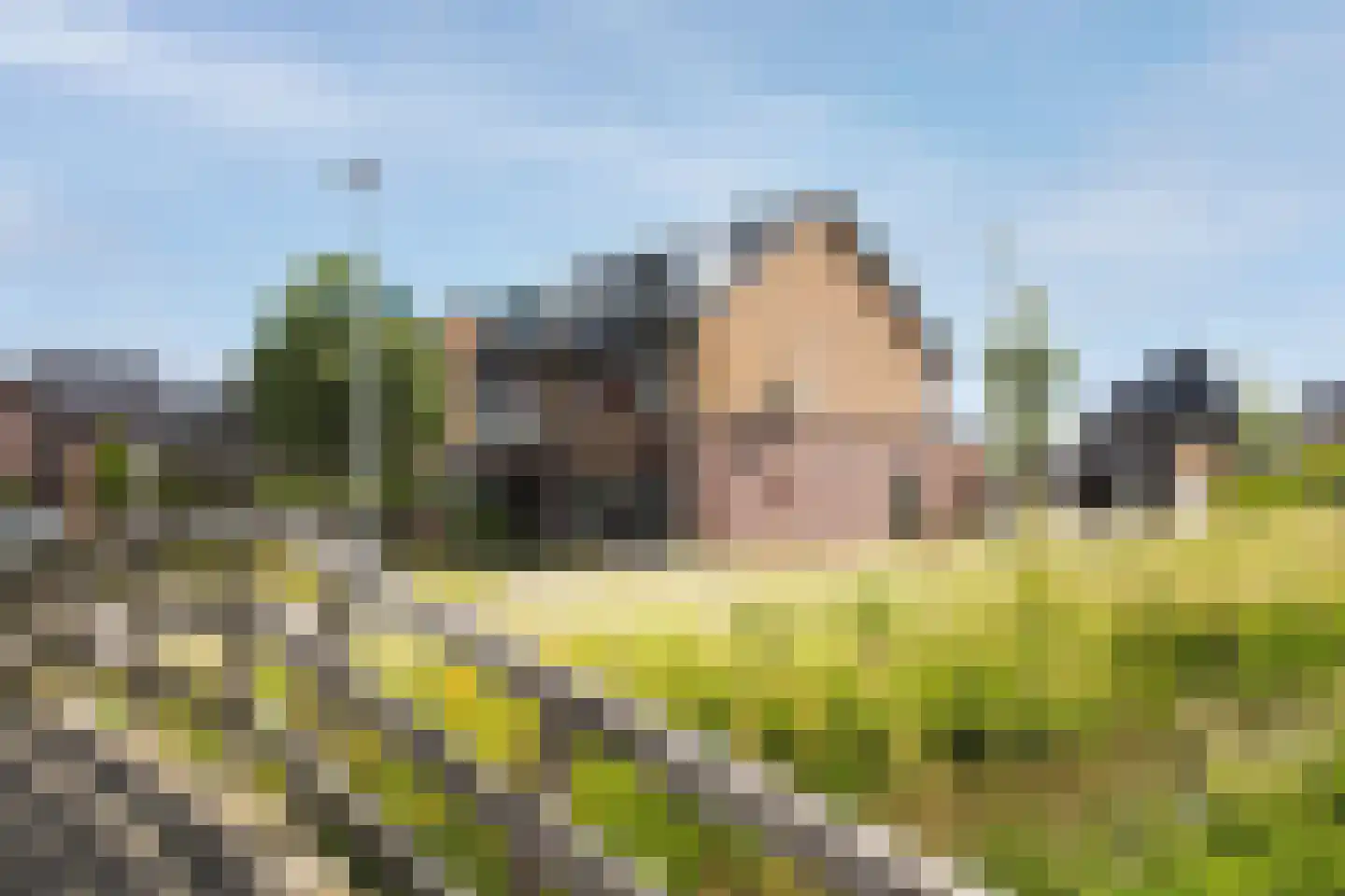 Veldbeemd 45 Wognum thumbnail 52