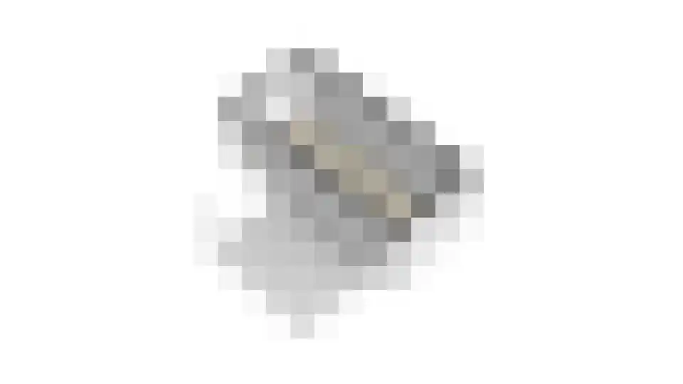 Veldbeemd 45 Wognum thumbnail 63