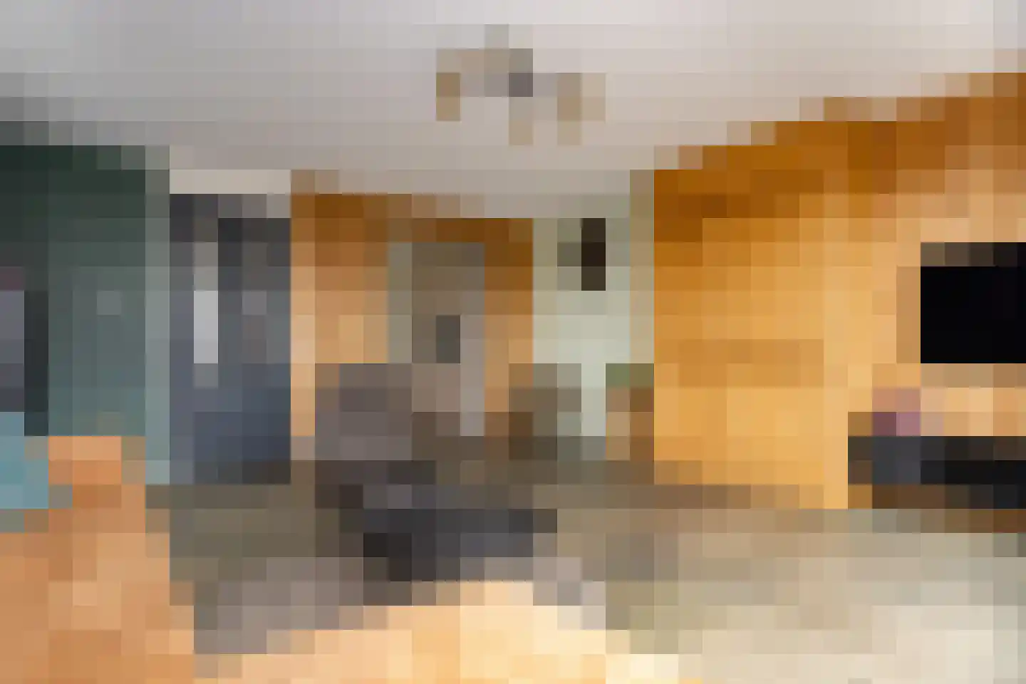 Veldbeemd 45 Wognum thumbnail 9