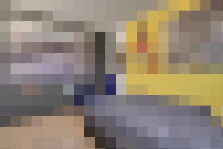 Veldbeemdgras 12 Zwolle thumbnail 18