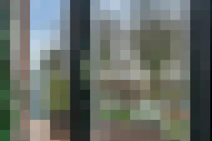 Veldbeemdgras 12 Zwolle thumbnail 27