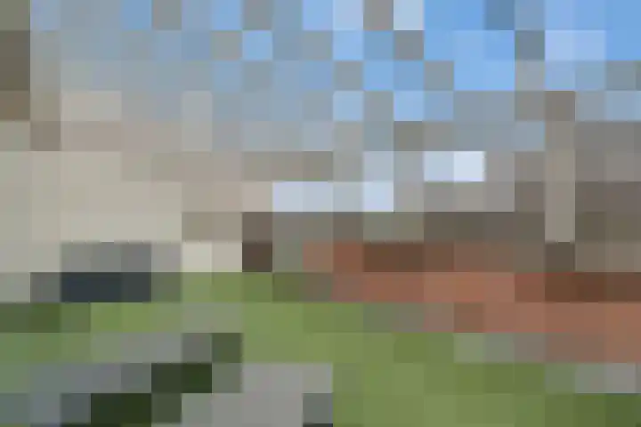 Veldbeemdgras 12 Zwolle thumbnail 30