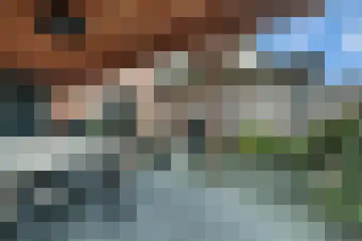 Veldbeemdgras 12 Zwolle thumbnail 34