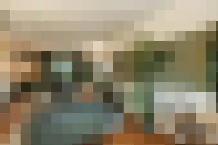 Veldbeemdgras 12 Zwolle thumbnail 5