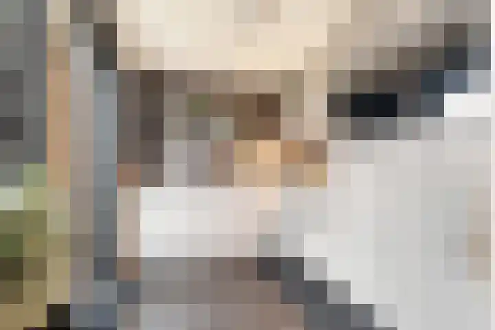 Veldbeemdgras 12 Zwolle thumbnail 8