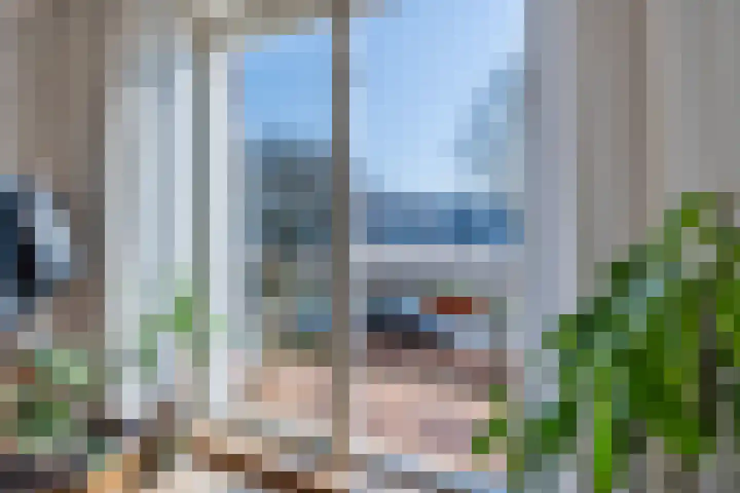 Veldbeemdgras 32 Zwolle thumbnail 15